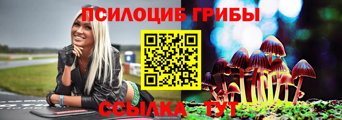 Псилоцибиновые грибы MAGIC MUSHROOMS  Кореновск 